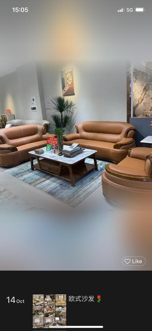 Luxury Leather Sofa Set Brown